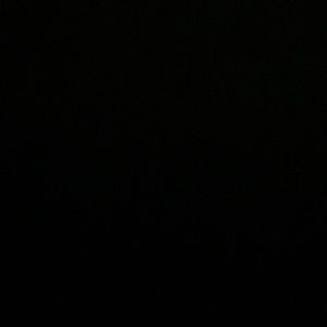 Meet your Posher, Isabella